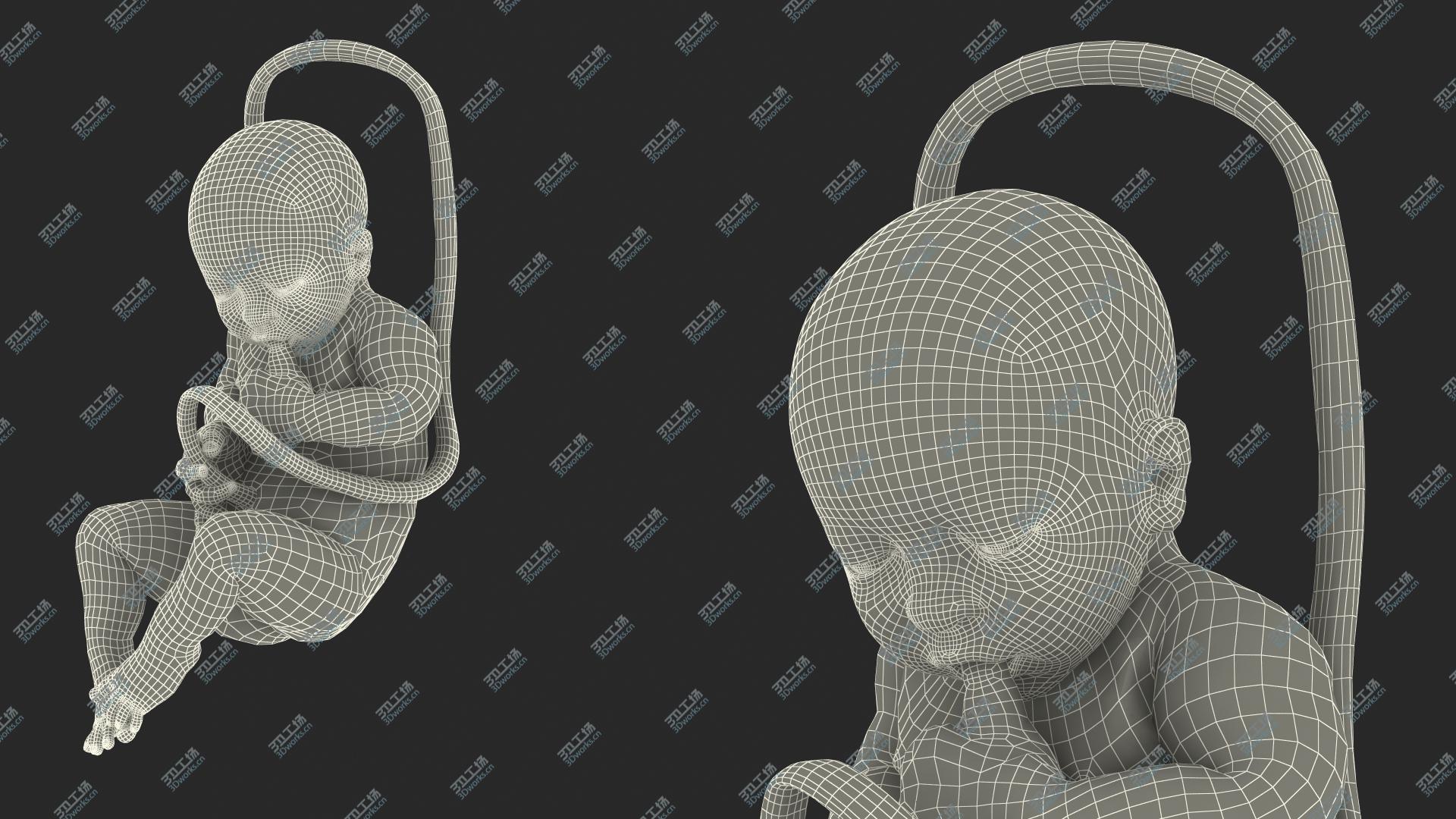 images/goods_img/202104091/Baby Boy at 38 Weeks Fur 3D model/3.jpg